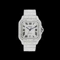 Moissinaite Watch